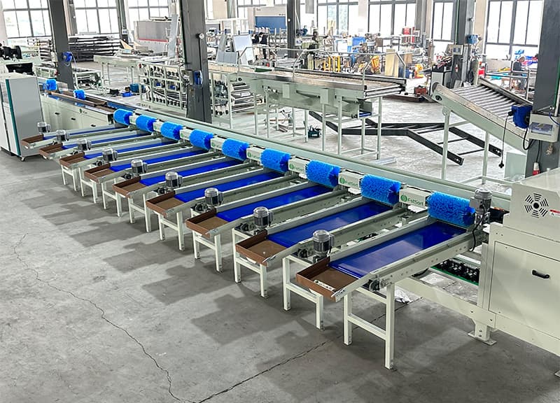 images/1750058207889weight sorting for persimmon.jpg